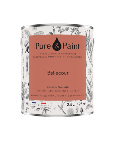 Peinture intérieure Bellecour finition veloutée